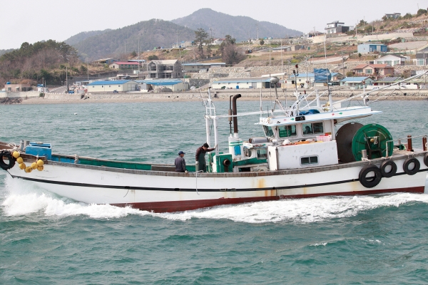출어를 준비하는 연안선망어업인. 뒤쪽으로 용주리 마을이 보인다