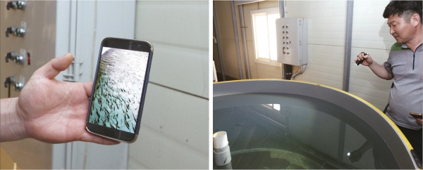 2017년 3월 열린 명태양식 워크숍에서 당시 김영석 해수부 장관이명태 양식을 지원하겠다고 말하고 있다