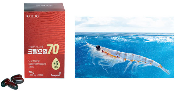 동원F&B가 동원산업이 어획한 남극 크리스탈 크릴 70마리의 영양을 한 캡슐에 담은 크릴오일을 출시했다. 사진은 ‘크릴오일 70’과 크리스탈 크릴. 제공=동원그룹