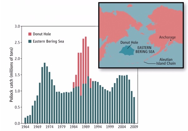 그림 3: 동베링해 명태 어획고 (1964-2009, 단위 백만톤). 빨강색 막대는 지도에 표시된 도넛홀(Donut Hole)이라고 하는 해역에서 잡은 명태 어획고를 나타내는데 한 때 우리나라 원양어업도 이 시기에는 여기서 명태를 잡을 수 있었다. 도넛홀을 제외한 동베링해 명태 어획고는 동해와는 달리 1980년대 이후에도 어획고가 급격히 줄지 않았다.출처: Morell, V. (2009) Can Science Keep Alaska's Bering Sea Pollock Fishery Healthy? Science, 326: 1340-1341