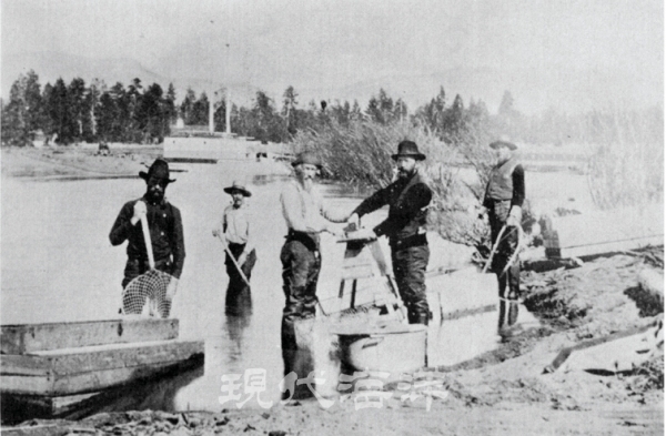 사진1_ 미국 캘리포니아 강어귀에서 인공수정란 방류 목적으로 송어 알을 채집하는 모습 (1896년).※출처: Leitritz, E., 1970. A history of California's fish hatcheries, 1870-1960. Department of Fish and Game.