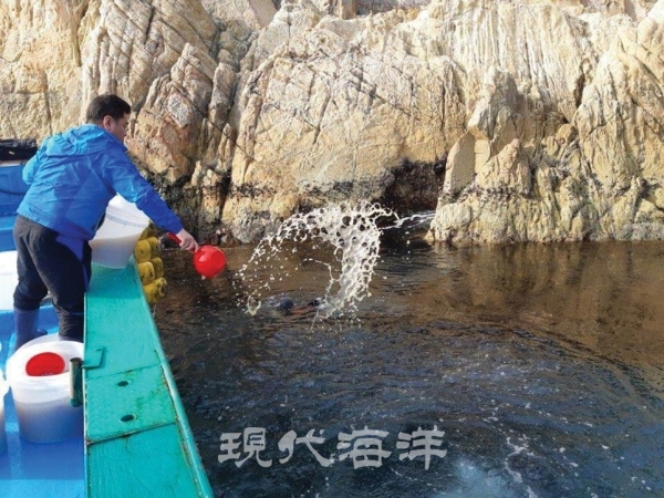 사진 2_ 대구 수정란 방류.※출처: 연합뉴스 2020-01-06 https://www.yna.co.kr/view/AKR20200106102200052