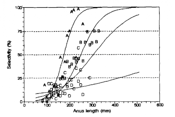 그림 2 갈치 항문장에 따른 트롤어구 어획선택성 로지스틱 곡선. A: 망목 51.2 mm, B: 70.2 mm, C: 77.6 mm, D: 88.0 mm. 출처 (이주희외, 1994. 사각형강목의 끝자루를 이용한 트롤어구의 어획선택성 연구( I )-사각형강목의 어획선택성.