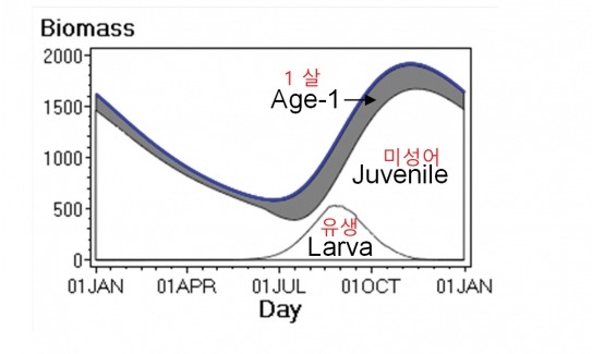 [그림 2] 대한해협 멸치 자원량(biomass) 추정치 계절 변동(단위: 천톤)
