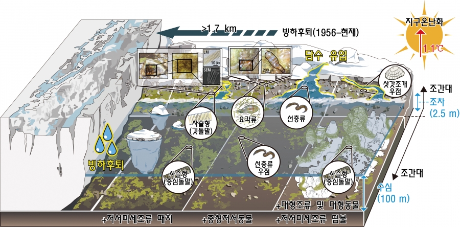 남극 마리안 소만에서 빙하 후퇴에 따른 저서생태계 군집 변화 연구 결과