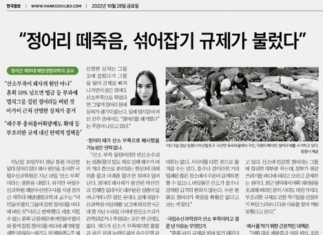 한국일보 10월 28일자 기사