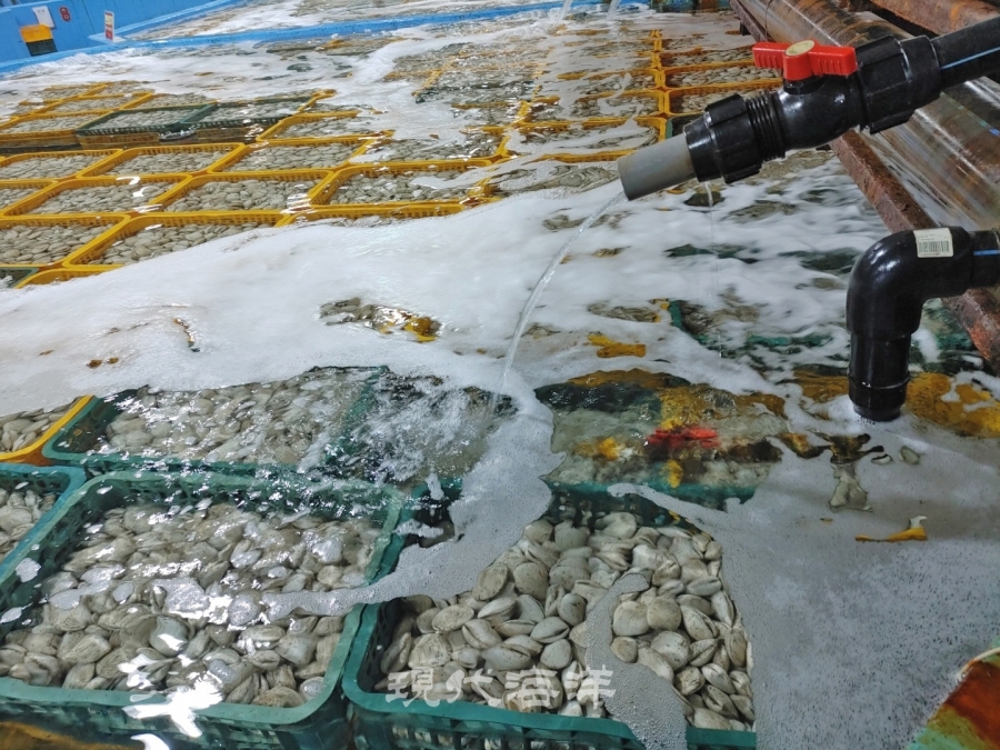 활어 수산물 창고에서 해양심층수가 보관 용수로 이용되고 있다.