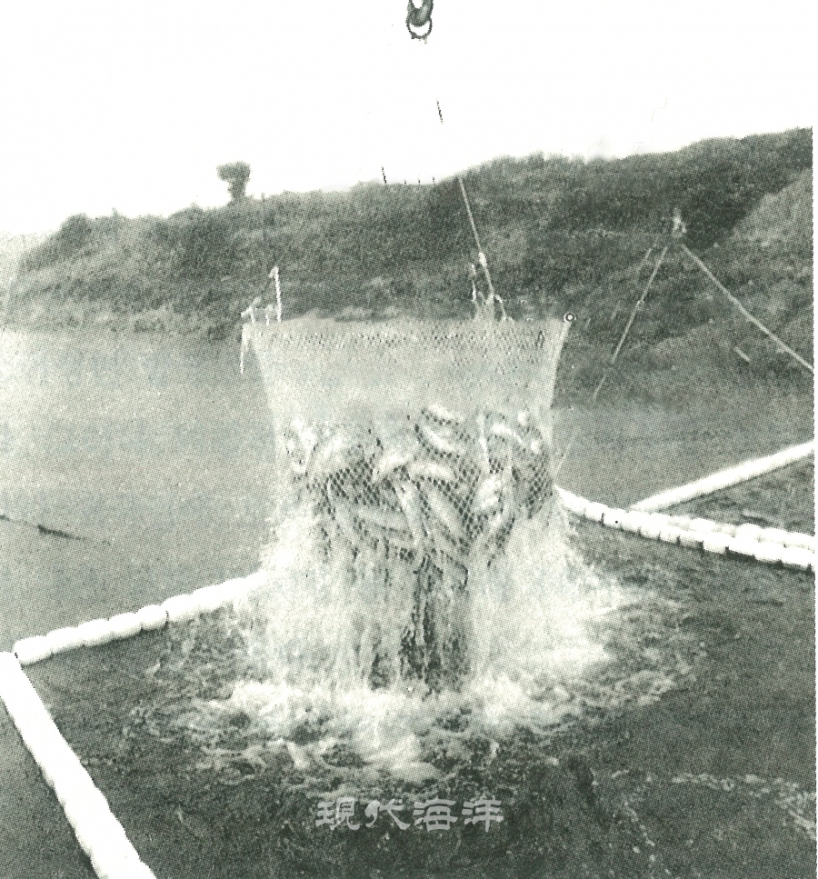 크레인으로 강물 속 연어를 잡고 있었다. (출처_대양에 선 개척자들, 남달성 저)