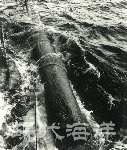 대양에 떠다니는 유목. 길이 10여미터, 직경 0.8미터 안팎의 유목 아래엔 그림자가 드리워져 어군이 항상 몰린다.