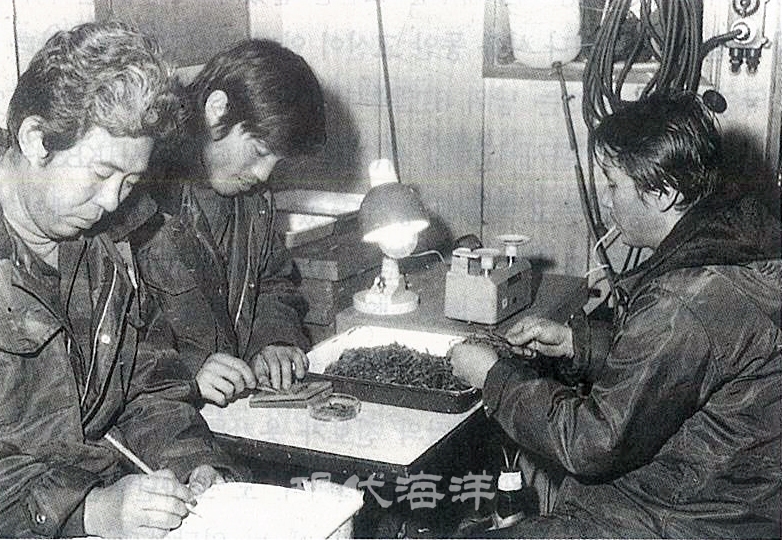 선상에서 방금 잡힌 크릴 새우의 생태와 이용가치 등을 연구하는 조사단원들