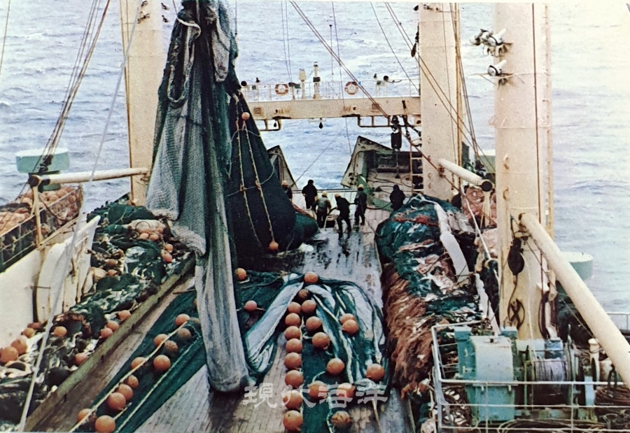 크릴 어획물 양망 모습