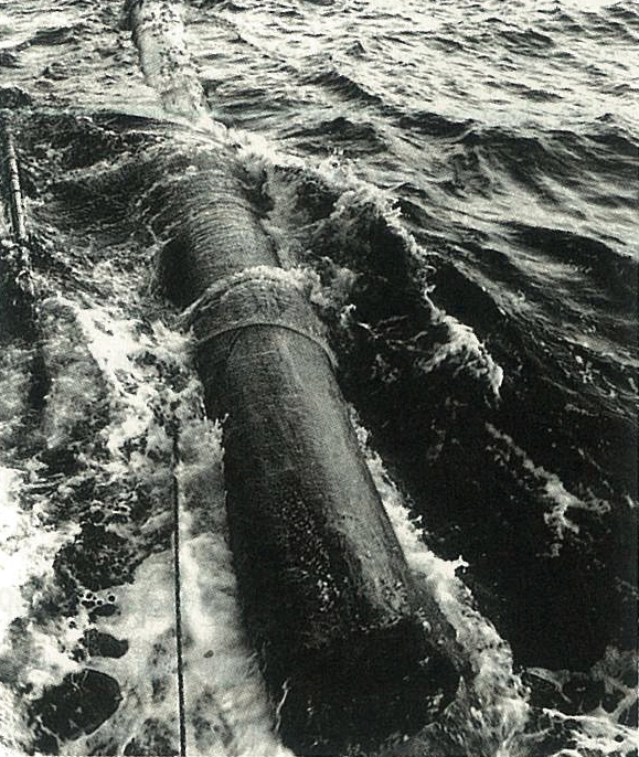 대양에 떠다니는 유목. 길이 10여미터, 직경 0.8미터 안팎의 유목 아래엔 그림자가 드리워져 어군이 항상 몰린다.