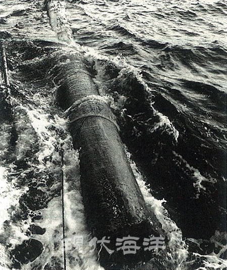 대양에 떠다니는 유목