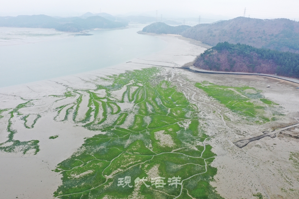 3월 중순 태안 이원면 해변