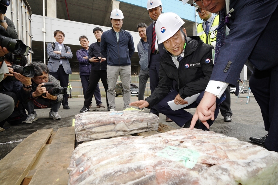 송명달 해양수산부 차관이 지난달 30일 부산 감천항에서 원양 오징어 공급 현장을 점검했다.