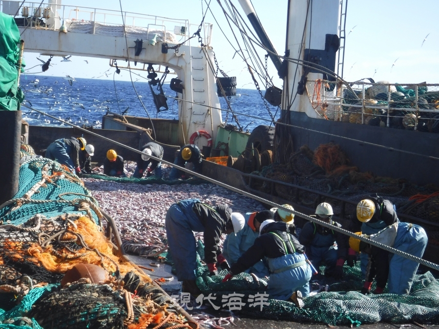 2023년 기준 양식업과 내수면 어업을 제외한 어업생산량 171만 3,000톤 중에 원양어업은 44%인 75만 7,000톤을 차지한다. 사진 제공_이윤길