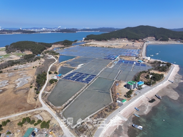 염전전경 서산에 남아 있는 유일한 염전(벌말)