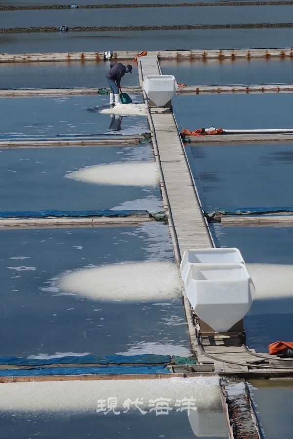 소금을 걷고 있는 염부