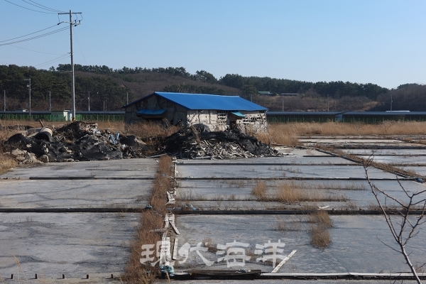 폐전된 염전과 배후에 설치된 태양광시설