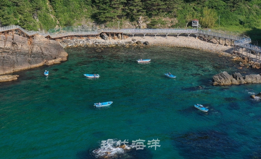 강릉 정동심곡 바다부챗길에서 만나는 창경바리어업