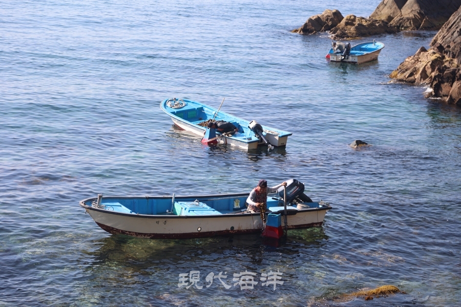 심곡 어업인들이 전마선을 타고 창경바리어업을 하고 있는 모습