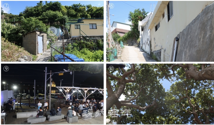 ⑦가파른 깍개등에 지은 집들, 지금은 저동항 밑으로 내려오면서 빈집이 되었다 ⑧주민들이 가파른 길을 오르내릴 수 있도록 붙잡을 수 있는 밧줄을 묶어 놓았다 ⑨소여행 성수기에는 어둠이 내리면 관해정에서 여행객을 위한 음악회가 펼쳐진다 ⑩관해정 후박나무숲