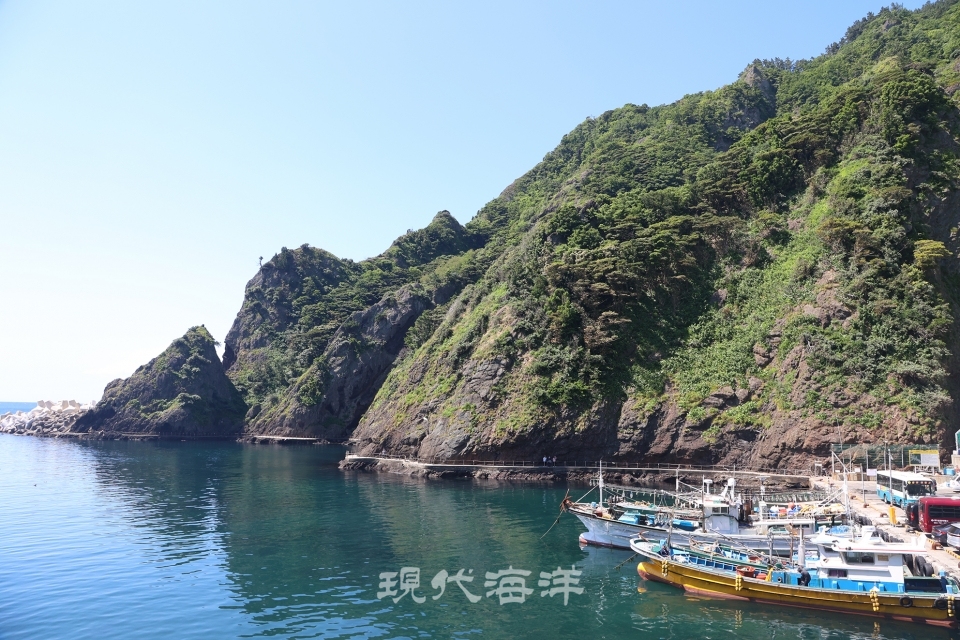 경상북도 울릉군 울릉읍 도동1길, 도동항.