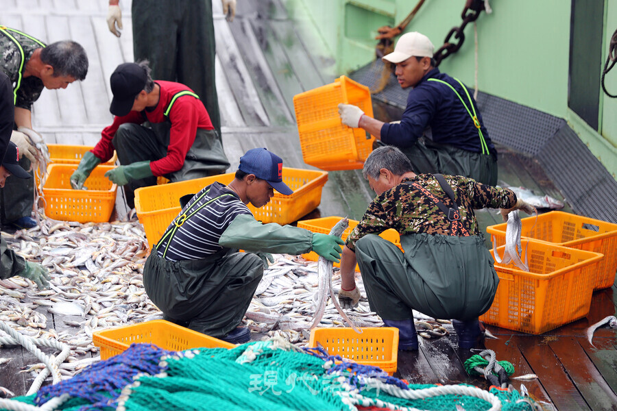 2028년 TAC(총허용어획량) 제도 전면 시행을 앞두고 업계 종사들 간의 반응이 매우 달라 대책이 요구되고 있다.