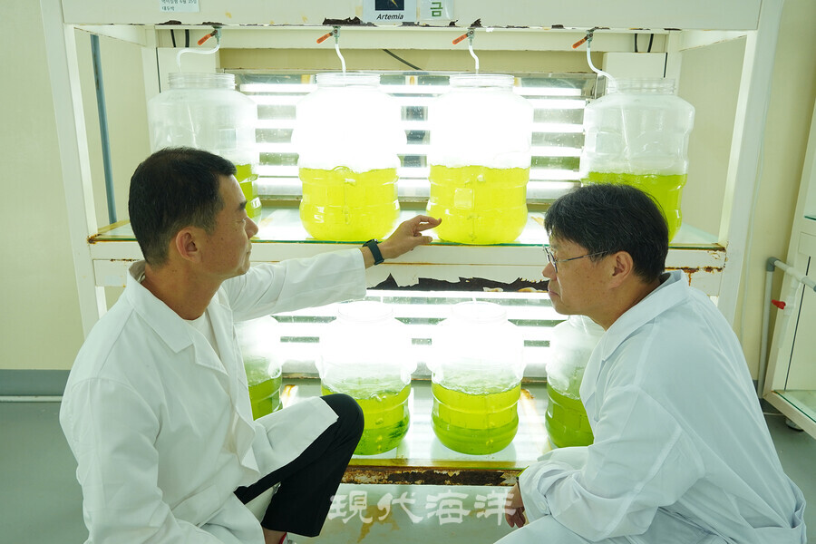 문어 먹이생물을 살펴보는 황선재 소장(사진 오른쪽)과 유해균 연구사