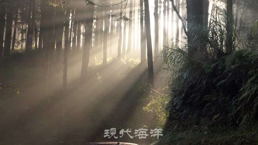 신비한 옥산(玉山)의 아침 경관