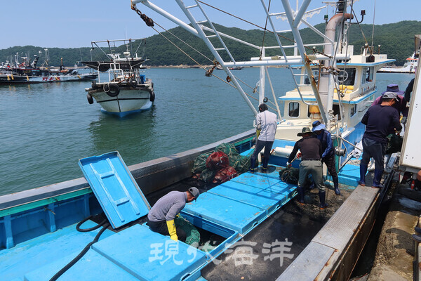 잠수기 어선에서 키조개를 운반하는 모습