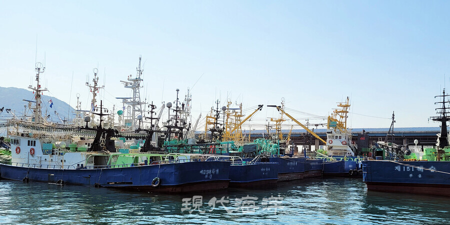 근해어업이 붕괴위기에 처해 빠른 대책이 요구된다. 사진은 정박중인 대형선망어선