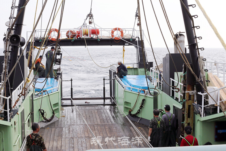 어장이 축소된 대형기선저인망어선은 조업 어장이 마땅치 않다.