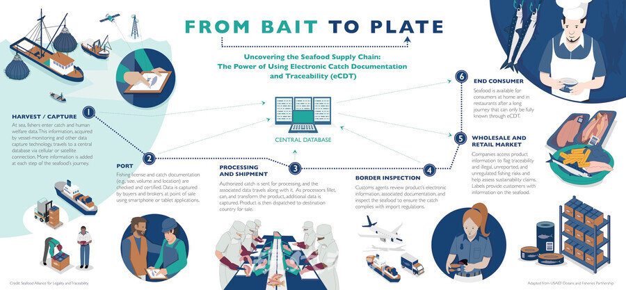 미국국제개발처(USAID: 국무부의 산하기관으로 미국의 공적개발원조기구를 담당)에서 수산물 이력추적시스템을 설명한 그림. “미끼에서 접시까지(From Bait to Plate)”라는 제목이 흥미롭다. 물고기가 어획된 순간부터 먹기 직전까지의 과정을 관리한다는 의미이다.