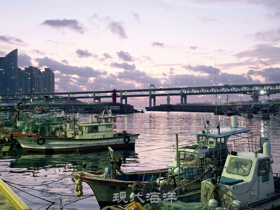 부산 수영구 민락동