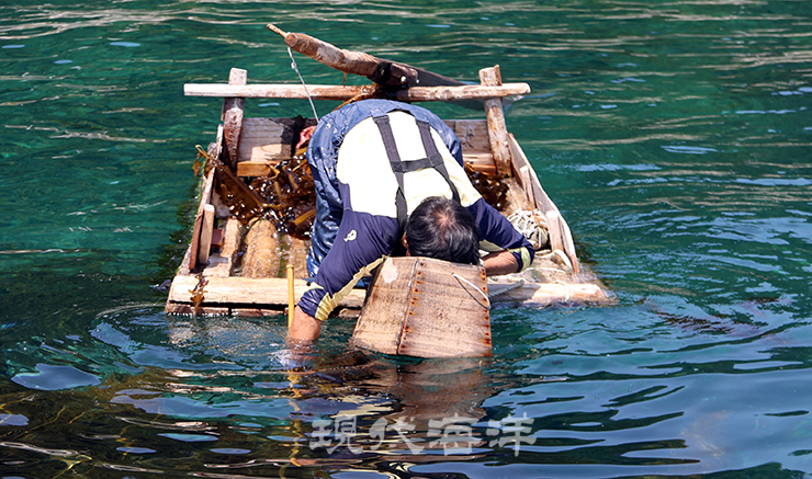 강릉 창경바리어업이 제14호 국가중요어업유산에 지정됐다.