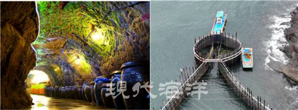 강릉 창경바리어업과 함께 충남 홍성군의 ‘광천토굴새우젓가공업, 경남 사천시의 삼천포죽방렴어업이 국가중요어업유산 제15호, 제16호로 각각 지정됐다. 사진 왼쪽부터 광천토굴새우젓 숙성·발효과정, 삼천포 죽방렴어업