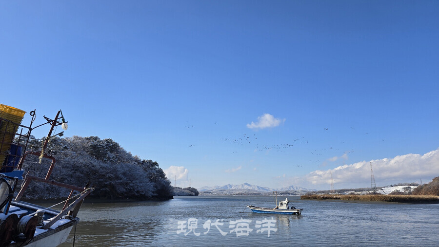 김포 대곶면 신안항.