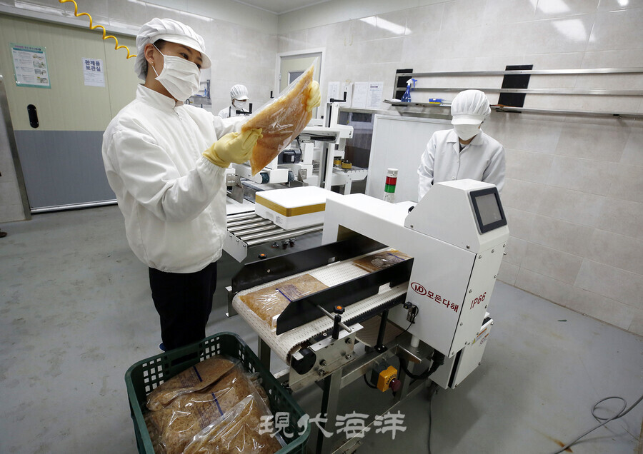 해파리 식품 포장작업