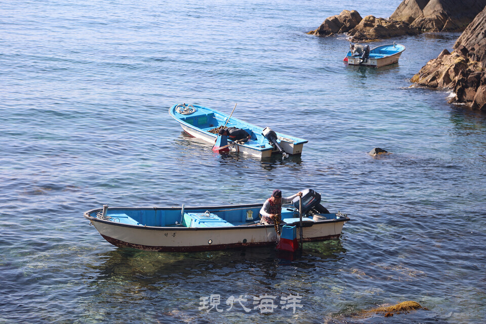 강릉 심곡마을 어업인들이 전마선을 타고 창경바리어업을 하고 있는 모습(국가중요어업유산 제14호)