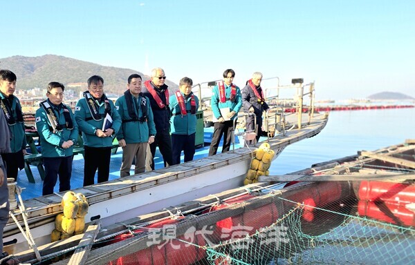 최용석 국립수산과학원장은 17일 충남 서산 어류양식장을 찾아 지자체와 함께 저수온 대응 상황을 점검했다.