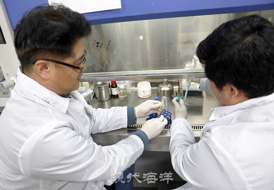 ㈜코미팜 연구진이 조직처리실에서 미생물 실험을 하고 있다.