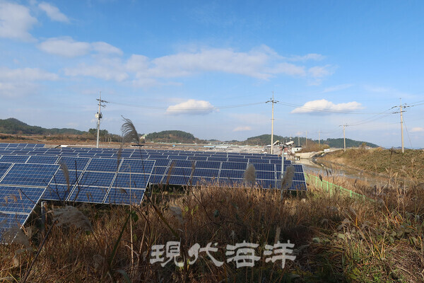갯벌에서 염전으로, 염전에서 태양광 시설로 바뀐 모습