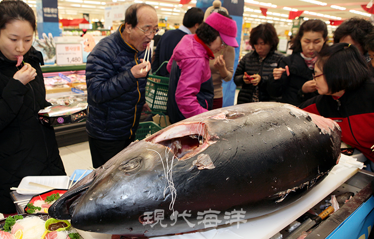 원양 참치업계는 3월 7일 일명 ‘참치데이’ 를 맞아 7일부터 9일까지 각종 기념행사를 진행한다. 사진은 과거 행사사진.
