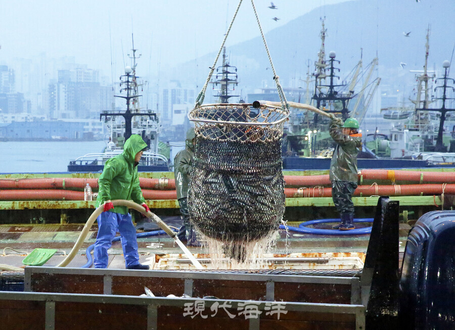 부산공동어시장