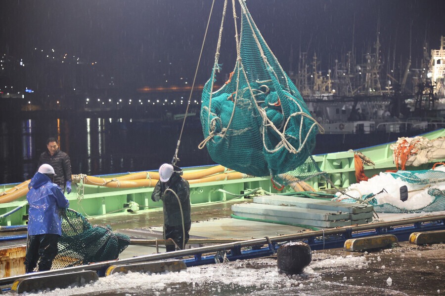 그물을 쏟아내는 중인 선망 근로자들