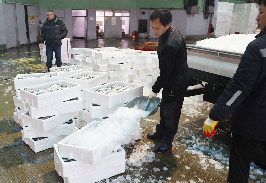 선도유지를 위해 얼음을 붓는 근로자