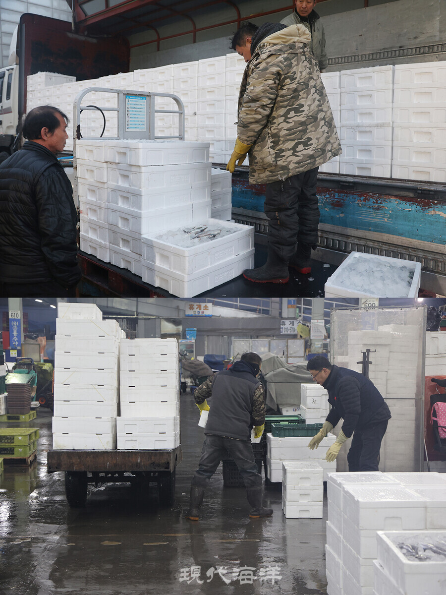 가락시장에서 하역과 동시에 진행되는 진열