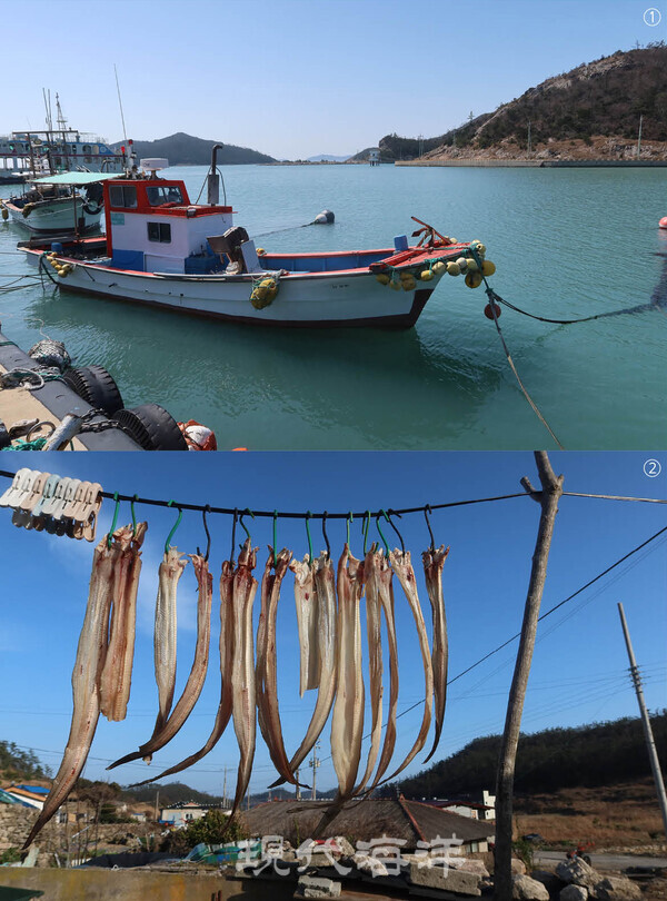 ① 서거차항에 정박 중인 어선 ②건조 중인 붕장어