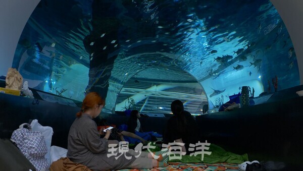 국립해양박물관은 한국관광공사, 국제해양영화제 조직위와 함께 오는 17일부터 25일까지 ‘2025 뮤지엄나잇 오션필름위크’를 연다.